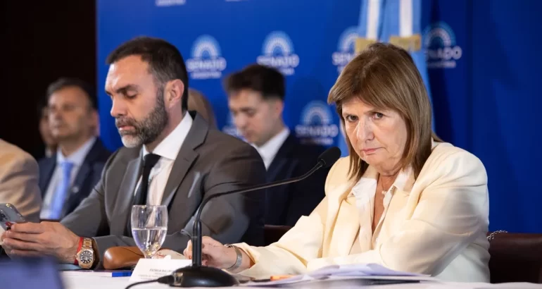 El Senado reactivará debate sobre regularización de tenencia de armas