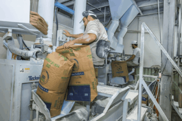 Pan para las vacas: por la baja calidad comercial, se dispara el uso forrajero del trigo