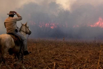 El Banco Nación lanza créditos especiales para productores afectados por los incendios