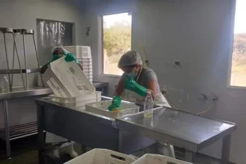 Macachín terceriza la planta avícola tras su cierre por déficit