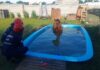 Rescate exitoso en Rivera: Bomberos salvaron a un caballo que cayó a una pileta Rescate exitoso en Rivera: Bomberos salvaron a un caballo que cayó a una pileta