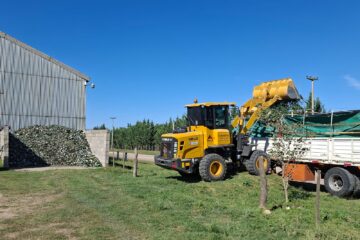 Rivera entregó más de 24.000 kilos de vidrio desde la Planta de Separación de Residuos