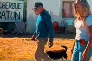 Carhué: el Municipio anunció el desarme parcial del Albergue Catón tras reducir la población de 170 a 23 animales