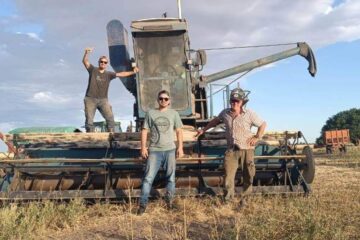 La cosechadora Di Tullio 64 que sigue haciendo historia en Médanos