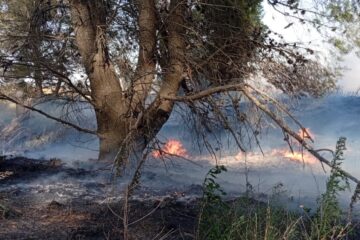 Incendio rural camino a Carhué: rápida intervención de Bomberos de Rivera
