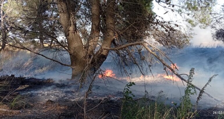 Incendio rural camino a Carhué: rápida intervención de Bomberos de Rivera