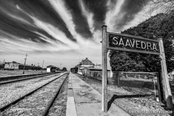 Condenan a pagar multa al dueño de un perro que mató a una llama en Saavedra