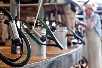 La lechería, otra vez al límite: el precio al productor toca uno de sus valores más bajos en una década La lechería, otra vez al límite: el precio al productor toca uno de sus valores más bajos en una década