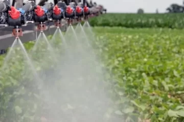 Dirime la Justicia otro capítulo de una “guerra” entre fuertes empresarios