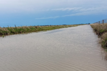Advierten no circular por el camino San Miguel–Carhué por anegamientos tras intensas lluvias