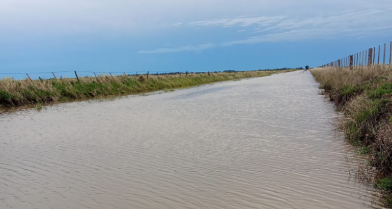Advierten no circular por el camino San Miguel–Carhué por anegamientos tras intensas lluvias Advierten no circular por el camino San Miguel–Carhué por anegamientos tras intensas lluvias