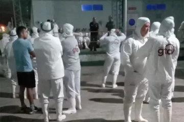 Crisis en Granja Tres Arroyos: trabajadores paralizaron la faena por falta de pago de sueldos