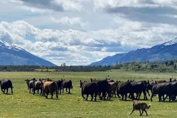 Adorni: “Modificaremos la Ley de Tierras Rurales para levantar las restricciones de venta a extranjeros”