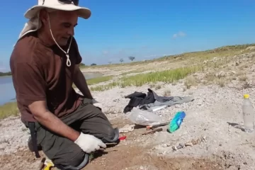 Rescatan restos fósiles de mamíferos de hasta 7 millones de años en Rolón