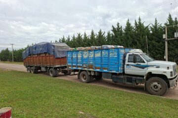 Rivera avanza en reciclaje: entregaron 8.800 kilos de papel y cartón para su reutilización