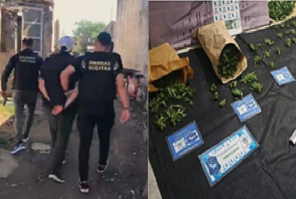 Desbaratan red de comercialización de drogas en Carhué: dos detenidos tras allanamientos