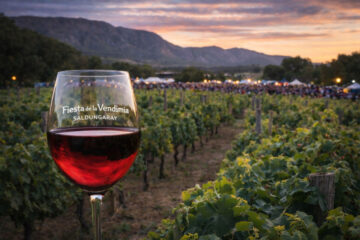 Todo listo para vivir una nueva Fiesta Provincial de la Vendimia en Saldungaray