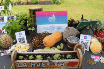 Distribuirán más de 500.000 plantines: se lanzó el programa Huerta Urbana Bonaerense