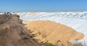 Vandalismo rural: dañaron cinco silobolsas en un predio sobre la Ruta 51