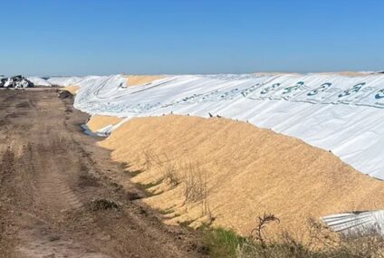 Vandalismo rural: dañaron cinco silobolsas en un predio sobre la Ruta 51