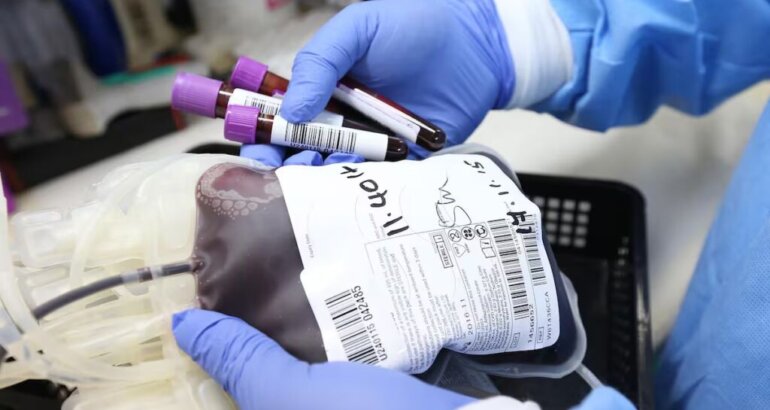 No más donación por reposición: el Gobierno cambió el sistema para donar sangre e introdujo nuevos criterios No más donación por reposición: el Gobierno cambió el sistema para donar sangre e introdujo nuevos criterios