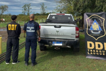 Misterio en el campo: desaparecieron caballos por $100 millones y el principal sospechoso es el administrador