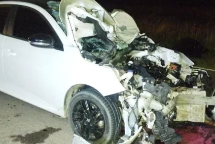 Ruta 35: un auto impactó contra un ternero y sufrió graves daños Ruta 35: un auto impactó contra un ternero y sufrió graves daños
