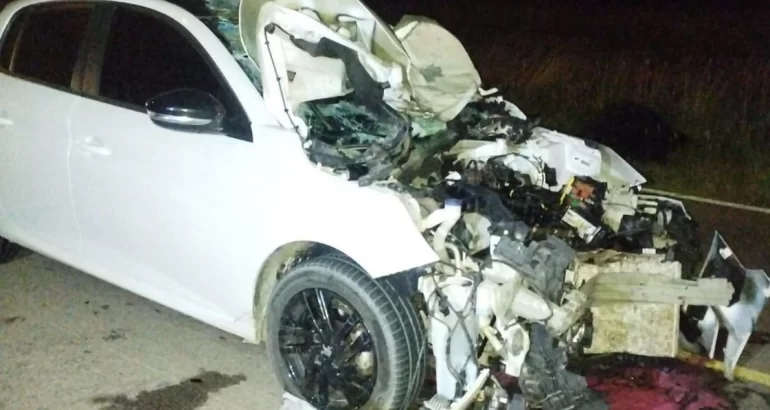 Ruta 35: un auto impactó contra un ternero y sufrió graves daños Ruta 35: un auto impactó contra un ternero y sufrió graves daños