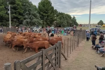 La 50ª Exposición Rural de Tornquist abre sus tranqueras a toda la zona