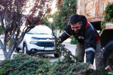 Comienza la Temporada de Poda en Adolfo Alsina Comienza la Temporada de Poda en Adolfo Alsina