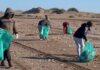 Una marea solidaria: Más de 200 voluntarios limpiaron 15 kilómetros de playa en Monte tras la sudestada Una marea solidaria: Más de 200 voluntarios limpiaron 15 kilómetros de playa en Monte tras la sudestada