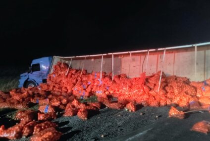Volcó un camión cargado con cebolla sobre la Ruta 33 cerca de Espartillar Volcó un camión cargado con cebolla sobre la Ruta 33 cerca de Espartillar
