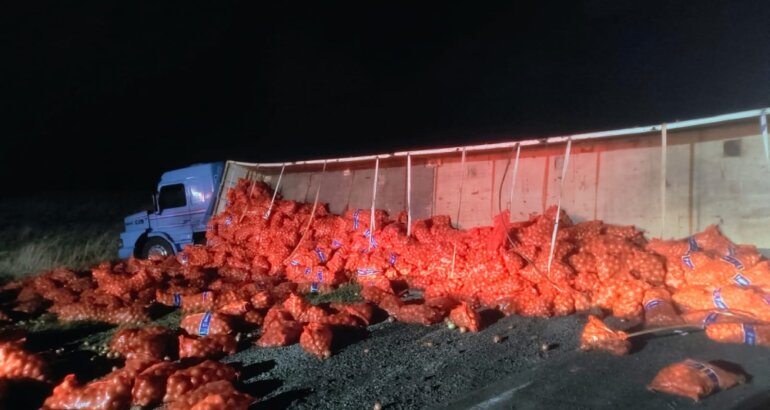 Volcó un camión cargado con cebolla sobre la Ruta 33 cerca de Espartillar Volcó un camión cargado con cebolla sobre la Ruta 33 cerca de Espartillar