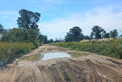 Tasas altas y falta de mantenimiento: el campo judicializa el problema de los caminos rurales Tasas altas y falta de mantenimiento: el campo judicializa el problema de los caminos rurales