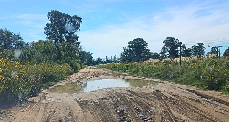 Piden medir el estado de los caminos rurales: “Las tasas deben ser medibles y auditables” Piden medir el estado de los caminos rurales: “Las tasas deben ser medibles y auditables”