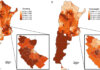 Un estudio de la UBA y el CONICET reveló un alarmante mapa de malnutrición infantil en Argentina Un estudio de la UBA y el CONICET reveló un alarmante mapa de malnutrición infantil en Argentina