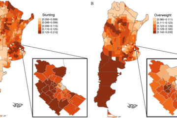 Un estudio de la UBA y el CONICET reveló un alarmante mapa de malnutrición infantil en Argentina Un estudio de la UBA y el CONICET reveló un alarmante mapa de malnutrición infantil en Argentina