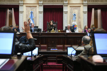 El Senado convirtió en ley la regularización de armas y prorrogó el plan de entrega voluntaria El Senado convirtió en ley la regularización de armas y prorrogó el plan de entrega voluntaria