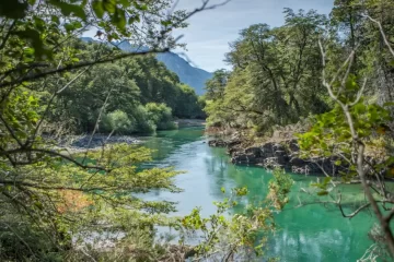 Desregular los Parques Nacionales: la nueva propuesta del Gobierno Desregular los Parques Nacionales: la nueva propuesta del Gobierno