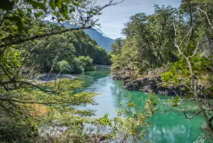 Desregular los Parques Nacionales: la nueva propuesta del Gobierno Desregular los Parques Nacionales: la nueva propuesta del Gobierno