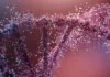 Ansiedad: identifican 74 variantes genéticas detrás de ese trastorno cada vez más frecuente Ansiedad: identifican 74 variantes genéticas detrás de ese trastorno cada vez más frecuente