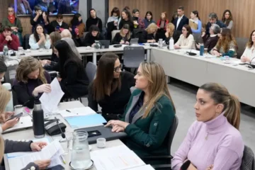 Diputados avanzan con un proyecto para declarar la emergencia nacional por violencia de género Diputados avanzan con un proyecto para declarar la emergencia nacional por violencia de género