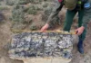 Río Negro: hallaron un bosque de troncos petrificados de 50 millones de años Río Negro: hallaron un bosque de troncos petrificados de 50 millones de años