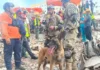 Bart, el perro rescatista de Puerto Belgrano que ayudó a salvar a dos niños tras el terremoto en Venezuela Bart, el perro rescatista de Puerto Belgrano que ayudó a salvar a dos niños tras el terremoto en Venezuela