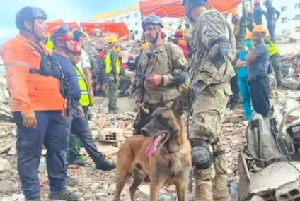 Bart, el perro rescatista de Puerto Belgrano que ayudó a salvar a dos niños tras el terremoto en Venezuela Bart, el perro rescatista de Puerto Belgrano que ayudó a salvar a dos niños tras el terremoto en Venezuela