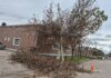 Un poste desplomado vuelve a exponer el deterioro de la infraestructura urbana de Telefónica y reavivó viejos reclamos Un poste desplomado vuelve a exponer el deterioro de la infraestructura urbana de Telefónica y reavivó viejos reclamos