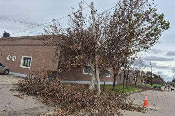 Un poste desplomado vuelve a exponer el deterioro de la infraestructura urbana de Telefónica y reavivó viejos reclamos Un poste desplomado vuelve a exponer el deterioro de la infraestructura urbana de Telefónica y reavivó viejos reclamos