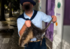 La Municipalidad de Bahía iniciará acciones legales a dos personas que mataron una nutria La Municipalidad de Bahía iniciará acciones legales a dos personas que mataron una nutria