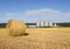 Desde Guaminí impulsan un proyecto para crear un RIGI Agropecuario con beneficios fiscales para el campo Desde Guaminí impulsan un proyecto para crear un RIGI Agropecuario con beneficios fiscales para el campo