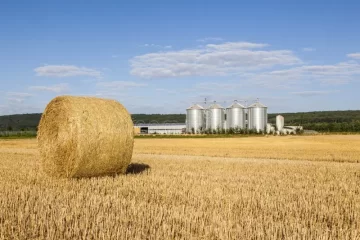 Desde Guaminí impulsan un proyecto para crear un RIGI Agropecuario con beneficios fiscales para el campo Desde Guaminí impulsan un proyecto para crear un RIGI Agropecuario con beneficios fiscales para el campo